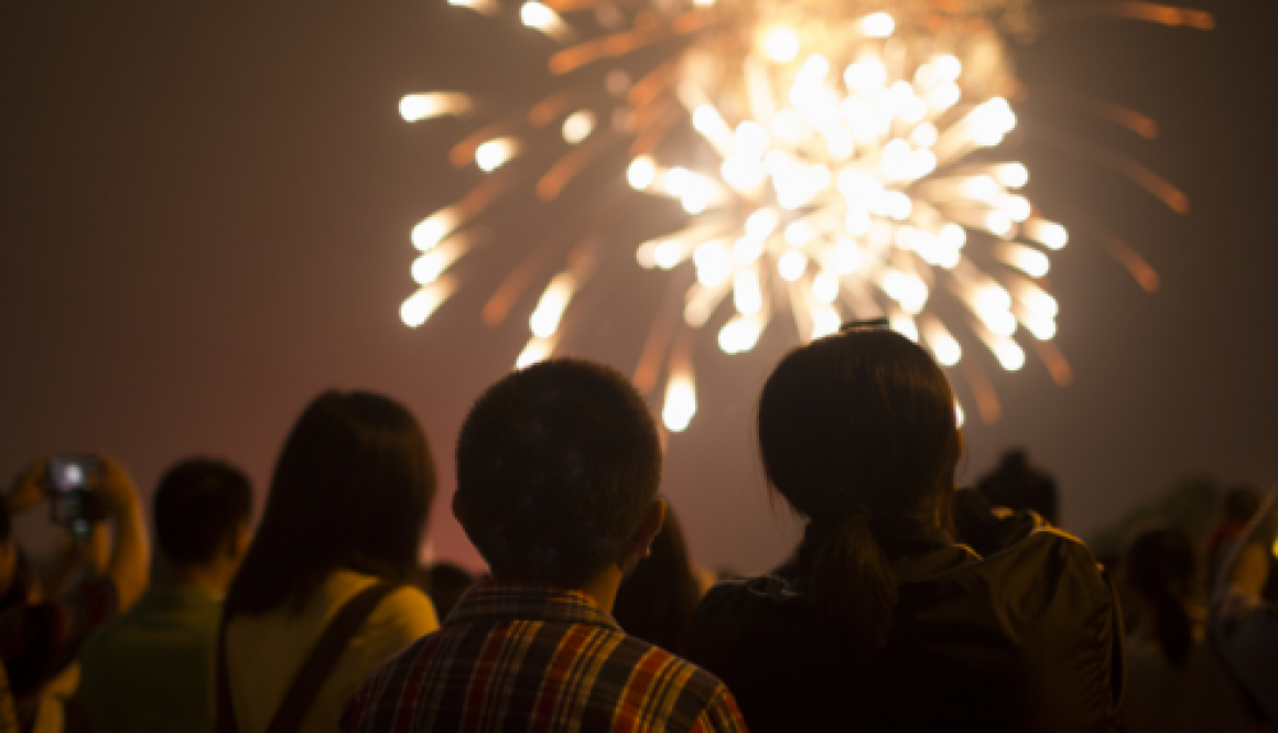 Fireworks Display Insurance and/or Bonfire Insurance
